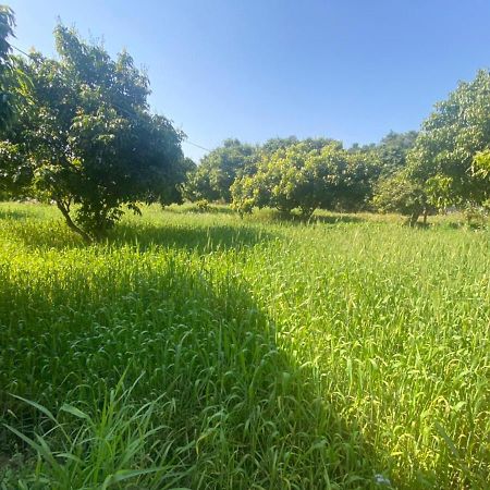 ホテル Lushy Days Boom Camp Tanakpur エクステリア 写真